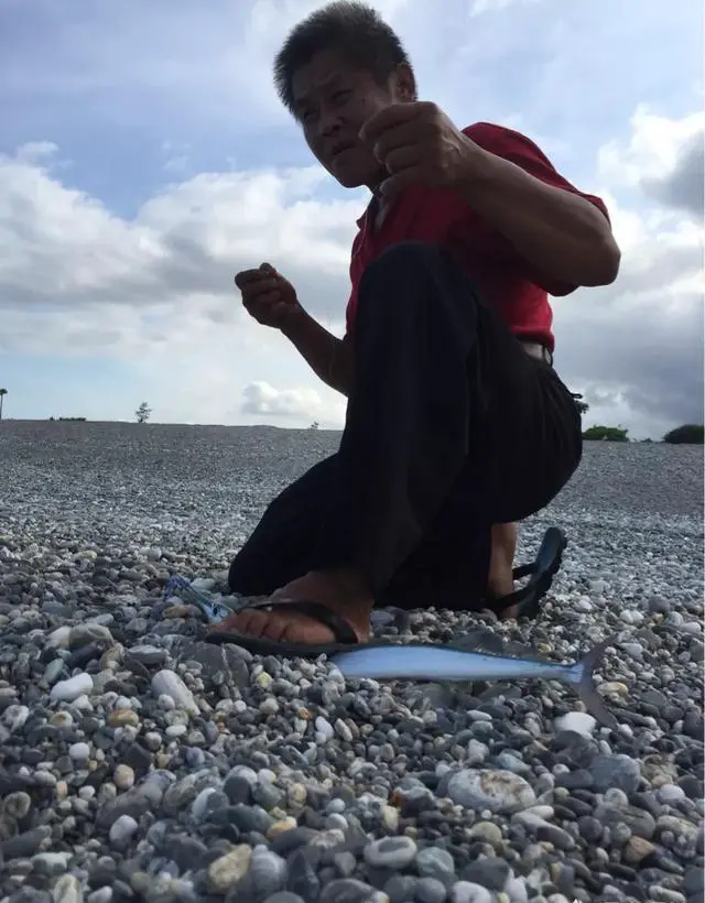 花莲旅游怎么样？