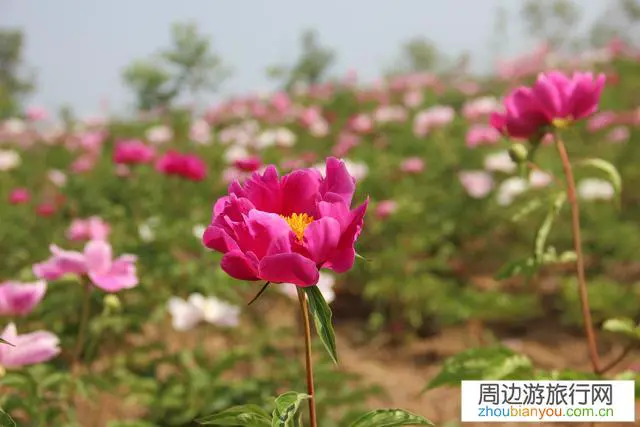 现在适合外出旅行吗？