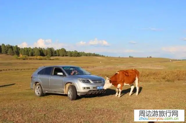 最近油价下降不少,口罩结束后对出行有什么影响?