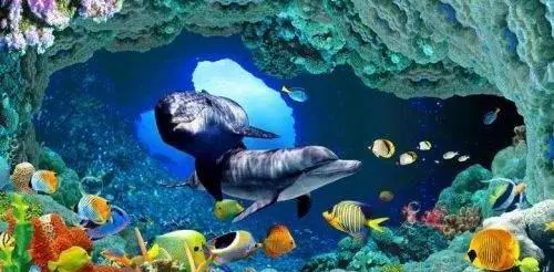 青岛周边有哪些好玩的地方适合带家人和孩子去的？