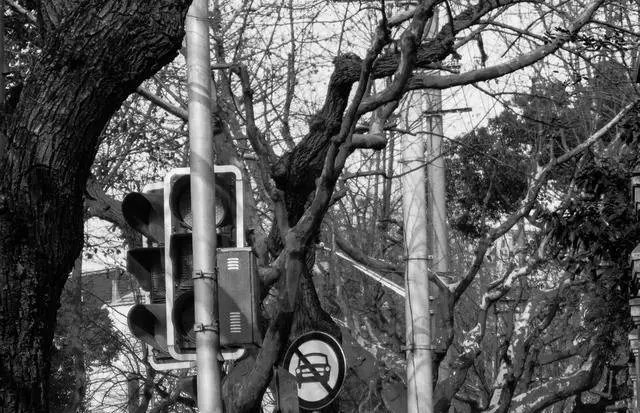 觉得上海适合旅行吗？