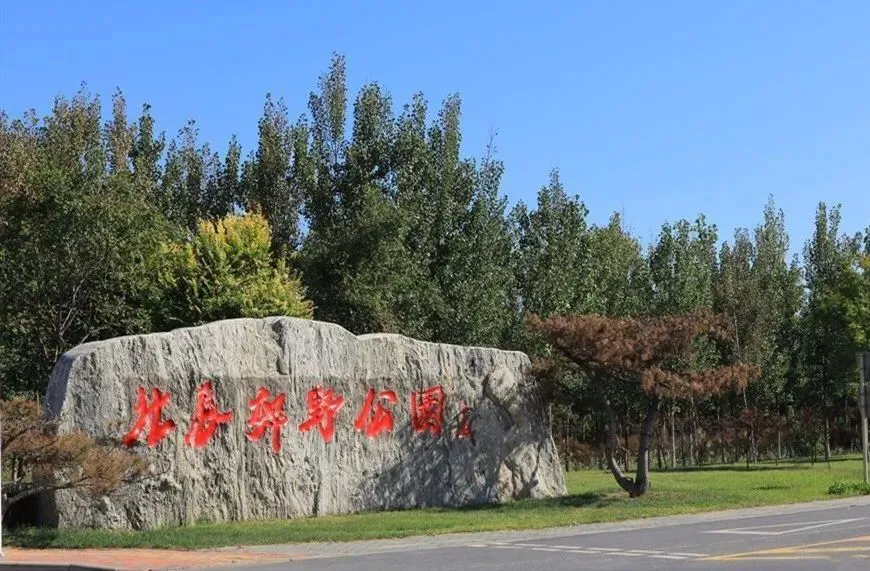 天津周末周边游目的地，周末必须安排！