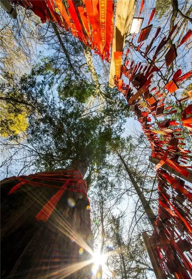 七月天气比较热，去哪里旅游更适合避暑，景色也赏心悦目？