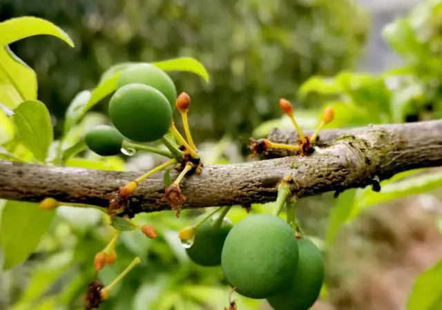 人为什么要旅游。旅游看什么?