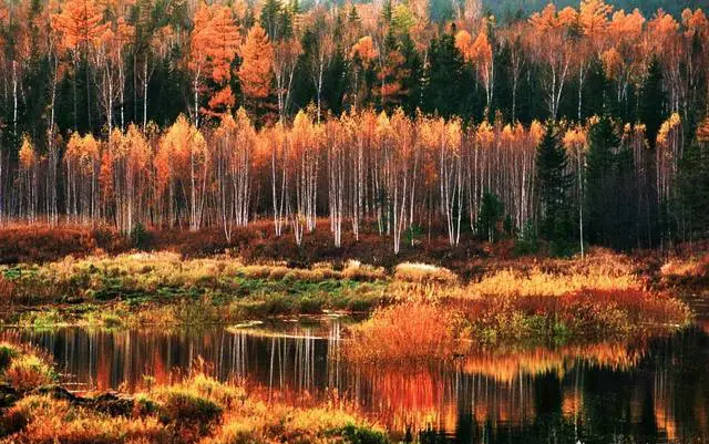 炎热的夏天有哪些避暑的好去处？