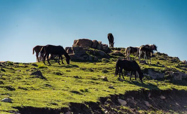 山西吕梁有什么好玩的旅游景点？