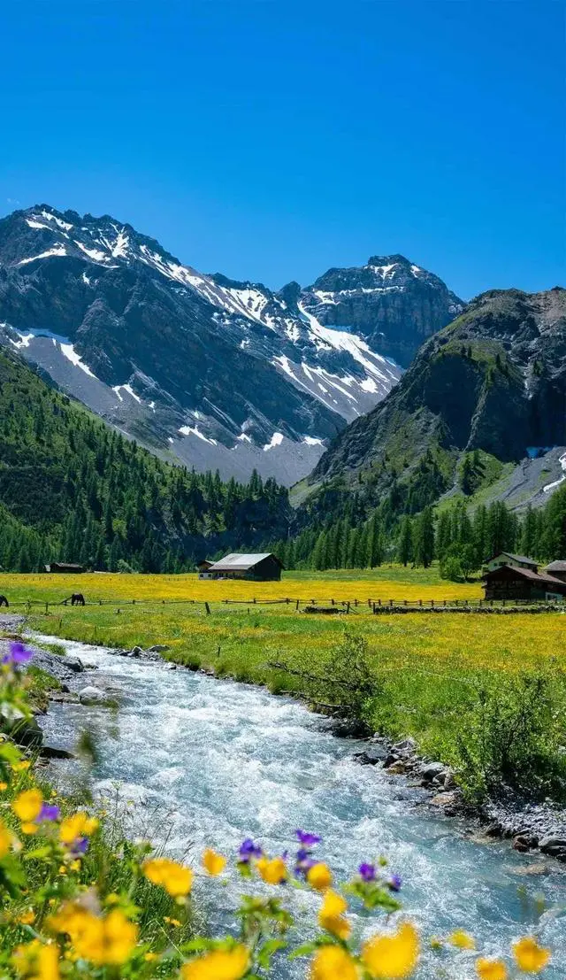 请教个旅游问题，自由行是什么玩法，是自己一个人瞎跑吗？