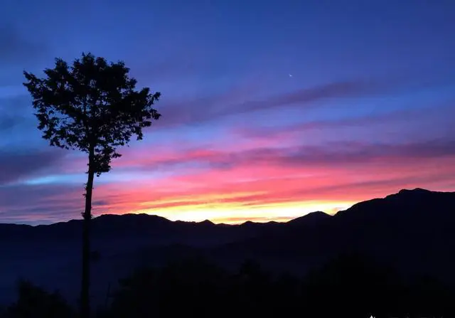 弯弯环岛自由行有什么旅游攻略吗？