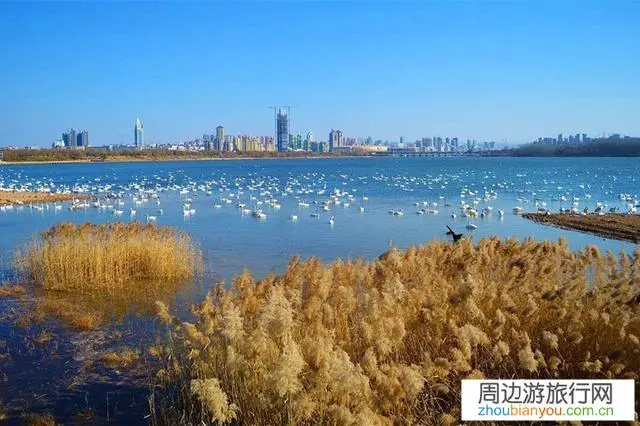 如果河南省下面的的城市名字都改成古代的名字，那么谁的名字好听又有名呢？