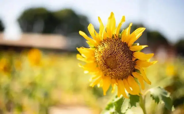 周末想去郊游,重庆郊区有哪些好玩的地方推荐?