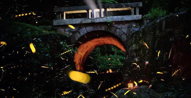 如果只能停留一天，南京旅游赏秋哪里最值得去？