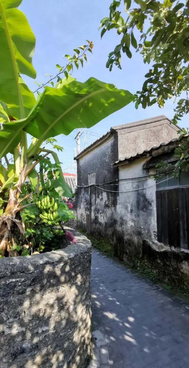 现在可以出省去旅游吗？