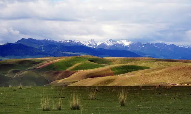 新疆和西藏哪个更适合自驾游?