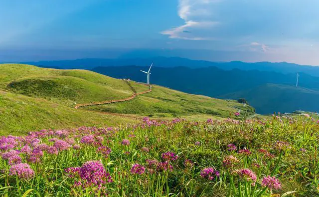 贵州省有哪些著名景区？