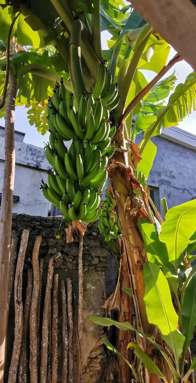 昆明准确海拔高度是多少？外地游客过来会不会缺氧？