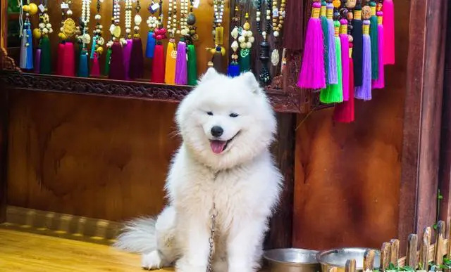 2月5号下午到丽江，之后怎么安排旅程会比较好？