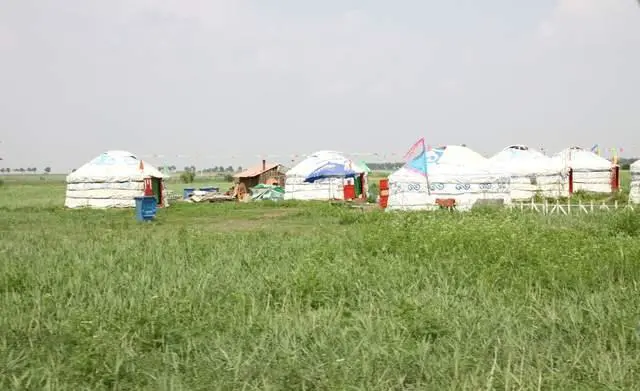 郑州到张北草原有多少公里?郑州到张北草原自驾游线路