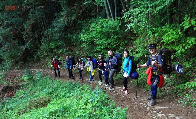 有哪些适合春天自驾游的地方？