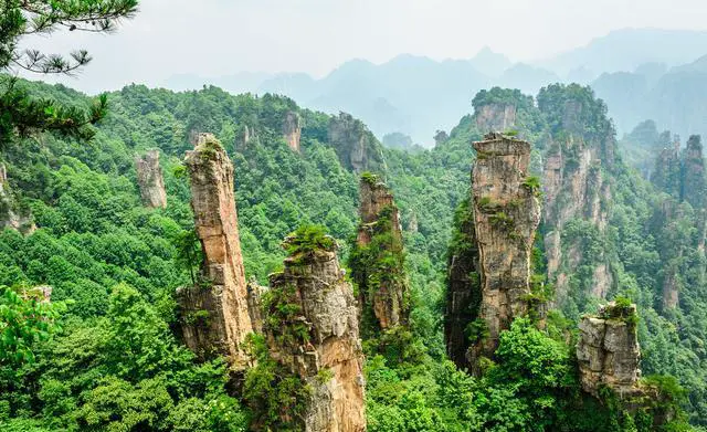 张家界主要有几个景区？张家界有哪些好玩的景点？