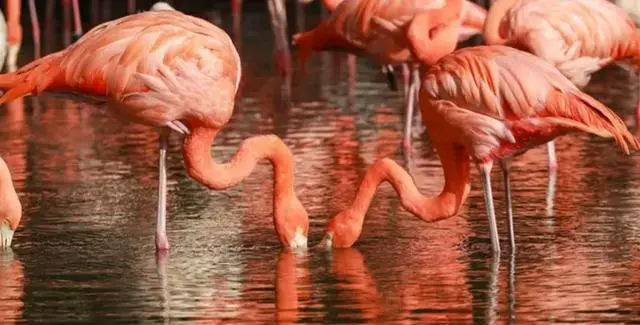 上海有哪些地方适合周末游？