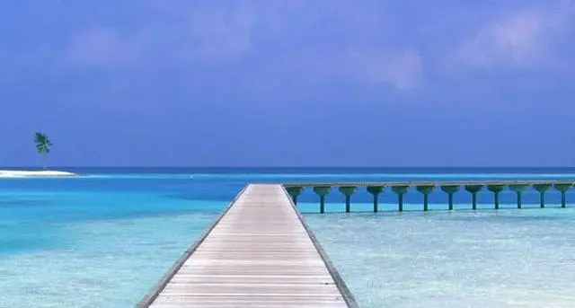 带着父母去哪里旅行好?