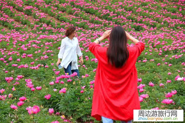 旅游行业什么时候复工？为何？