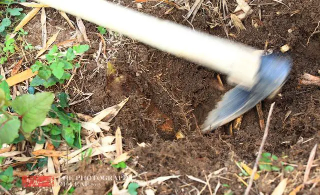 清明节适合去哪旅游？
