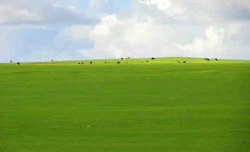 想带家人去草原自驾游，沈阳出发，推荐下一星期的路线？