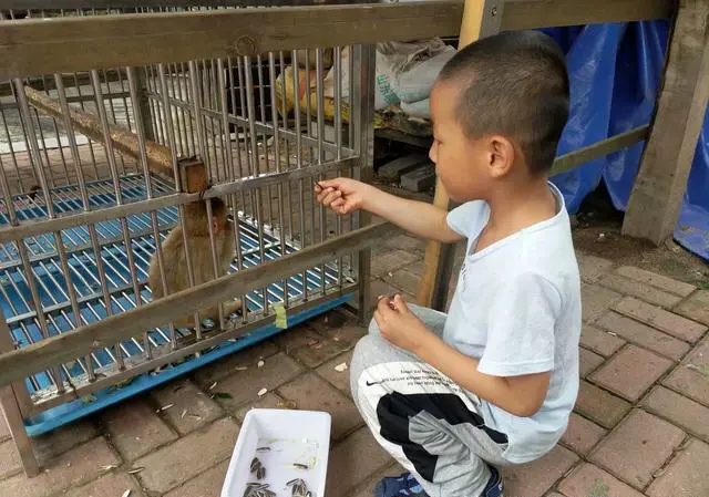 外出旅游，您愿意带小孩吗？有什么建议呢？