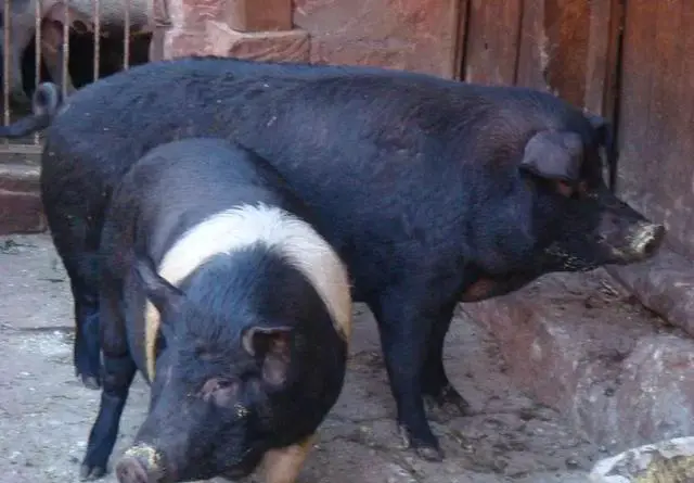 禄劝三江口温泉在哪里?禄劝三江口温泉好玩吗？