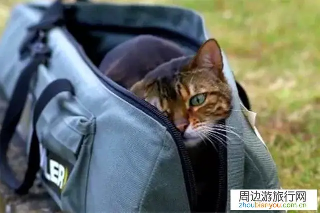 全国人民因为肺炎都在家隔离,那些徒步旅行的网红都去哪里了?