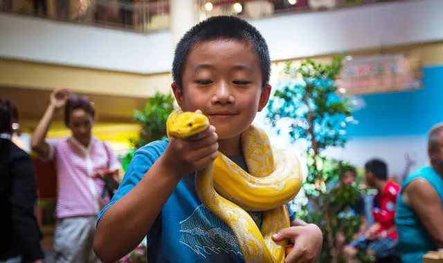 你在旅游途中遇到的奇葩事情？