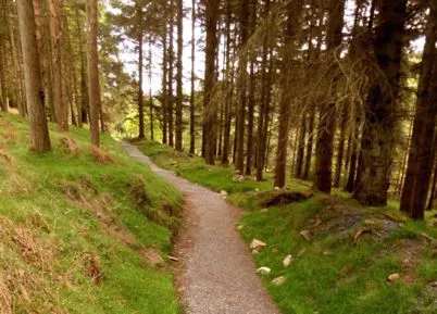 都柏林最佳周边游路线，来啦！