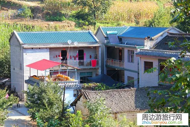 夏天在农家乐避暑,是城里不少老年人的选择,你如何看待此事?