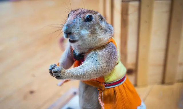 你在旅游途中遇到的奇葩事情？