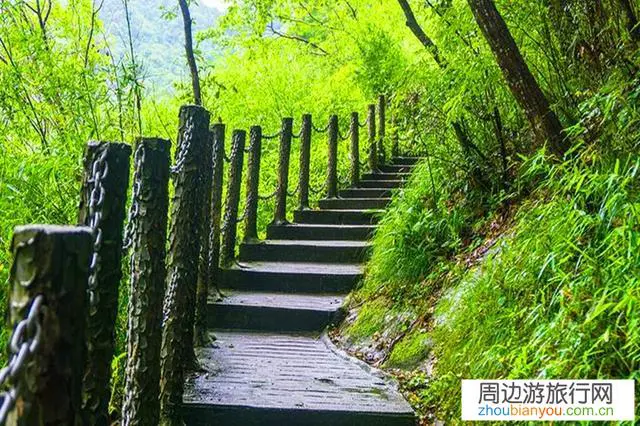 嵩山发生游客坠崖事故，游客爬山应该注意些什么呢？