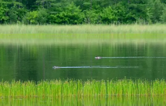 七月天气比较热，去哪里旅游更适合避暑，景色也赏心悦目？