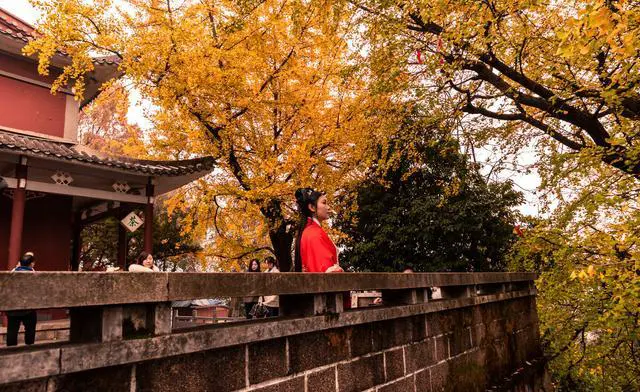 长沙附近好玩的地方景点推荐