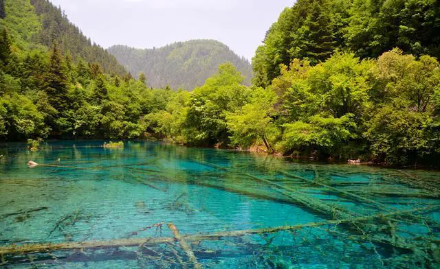 兰州到九寨沟自驾游最路线图推荐