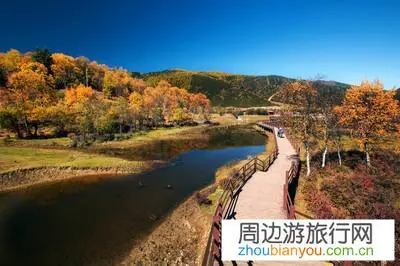 香格里拉海拔有多高？会不会很容易高反？