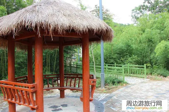 乡村振兴，当地村民最希望从哪些事情开始？