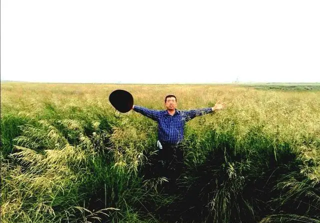 十一放假了,围场坝上草原好玩吗?