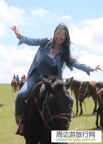 呼和浩特这个城市怎么样？