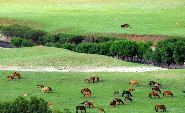 北京出发内蒙古草原自驾游最佳路线