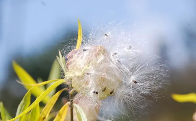 你们会坚持在工作、学习闲暇之余做自己喜欢做的事吗？