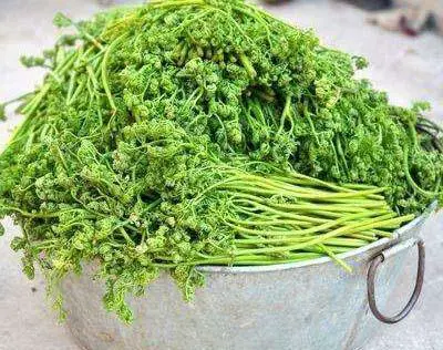 东北有哪些特产呢？