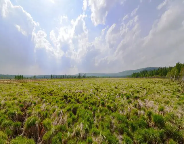 七月天气比较热，去哪里旅游更适合避暑，景色也赏心悦目？