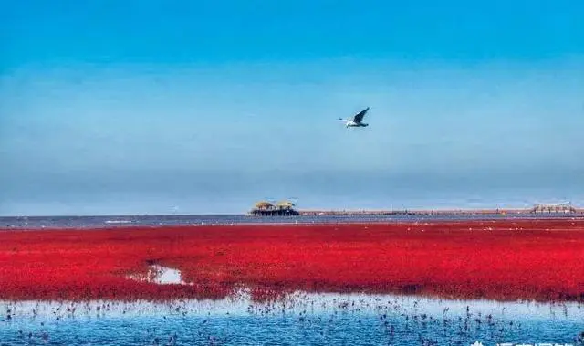 兴城红海滩的景色怎么样？具体位置在哪？