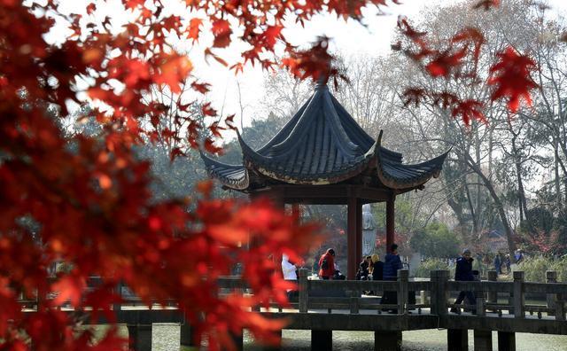 如果只能停留一天，南京旅游赏秋哪里最值得去？