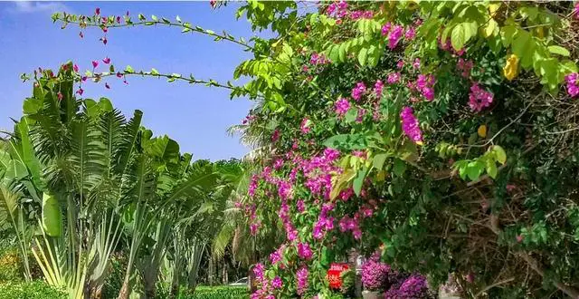 国庆节你准备去哪里旅游？